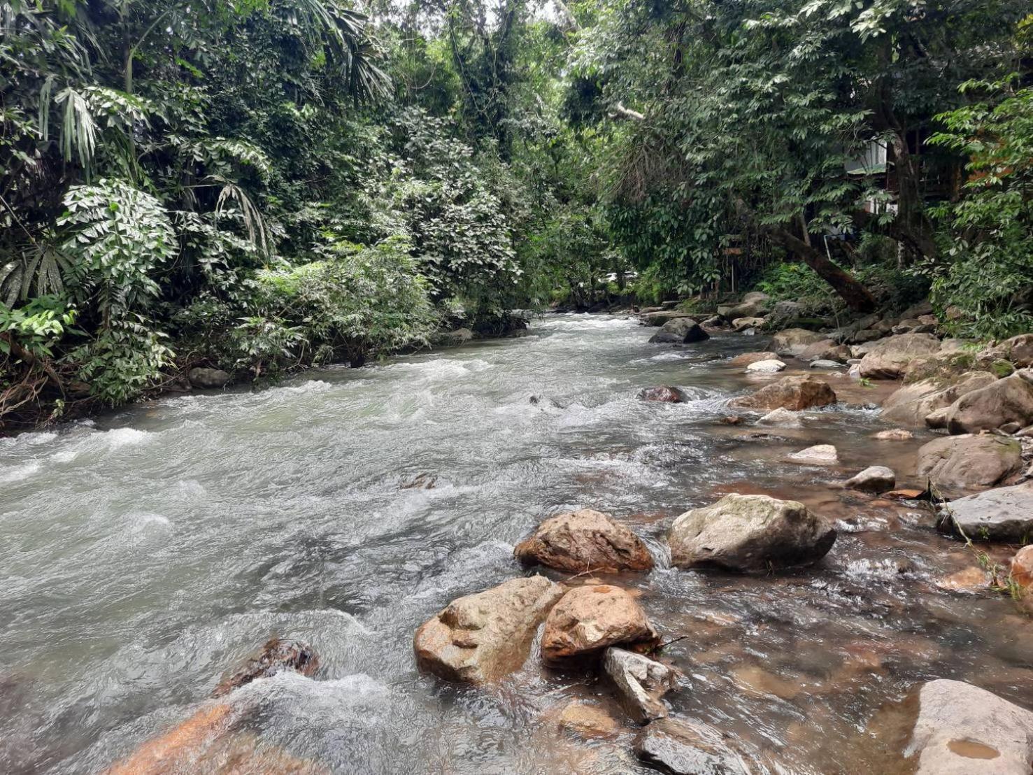 Tree Tops River Huts Khao Sok National Park Экстерьер фото