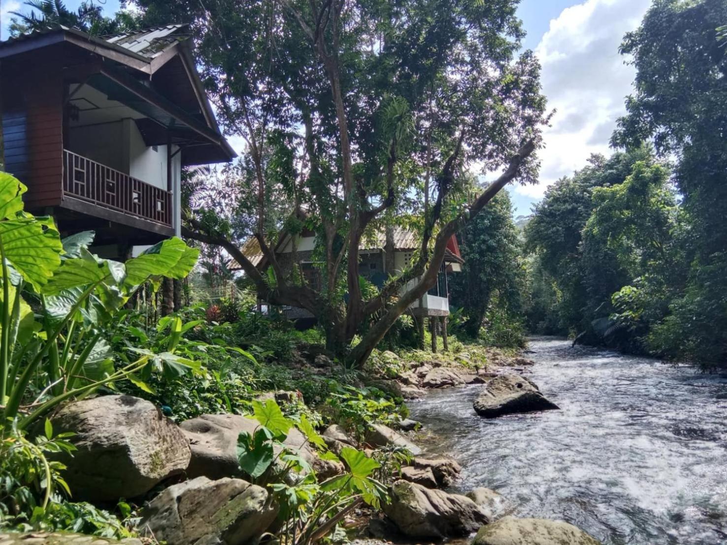 Tree Tops River Huts Khao Sok National Park Экстерьер фото